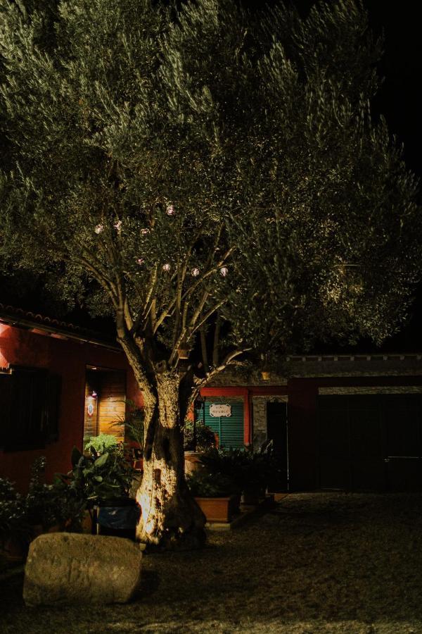 El Jardin De Gala Villa Castejon de Monegros Dış mekan fotoğraf