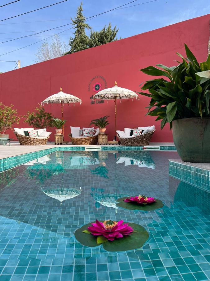 El Jardin De Gala Villa Castejon de Monegros Dış mekan fotoğraf